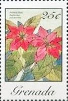 Euphorbia Pulcherrima
