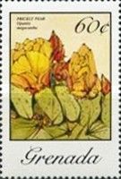 Prickly Pear (Opuntia megacantha)