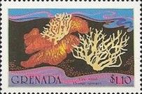 Fire Coral (Millepora dichotoma), Orange Sponge