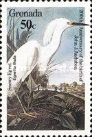 Snowy Egret (Egretta thula)