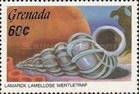 Lamellose Wentletrap (Epitonium lamellosum)