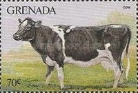 Cow (Bos primigenius taurus)