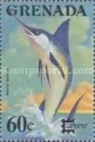 White Marlin (Kajikia albida)