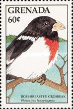 Rose-breasted Grosbeak (Pheucticus ludovicianus)