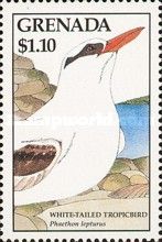 White-tailed Tropicbird (Phaethon lepturus)