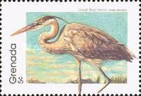 Great Blue Heron (Ardea herodias)