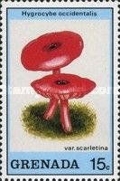 Hygrocybe occidentalis scarletina.