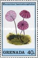 Marasmius haematocephalus