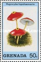 Hygrocybe hypohaemacta