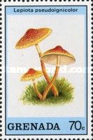 Lepiota pseudoignicolor