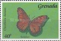 Soldier (Cleothora danaus)