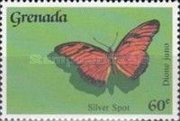 Juno Silverspot (Dione juno)