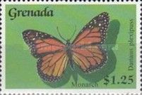 Monarch Butterfly (Danaus plexippus)