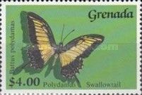 Polydamas Swallowtail (Papilio polydamas)