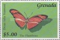 Flambeau (Dryas julia)