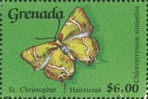 St. Christopher's Hairstreak (Chlorostrymon simaethis)