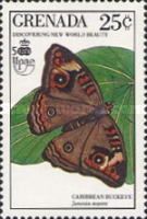 Westindean Buckeye (Junonia evarete)