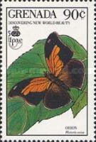 Orion Butterfly (Historis odius orion)