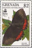 Red Rim (Biblis hyperia)