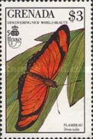 Flambeau (Dryas julia)