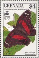 Scarlet Peacock (Anartia amathea)