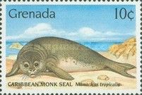 Caribban Monk Seal (Monachus tropicalis)