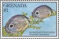 Foureye Butterflyfish (Chaetodon capistratus)