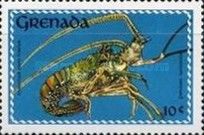 Smoothtail Spiny Lobster (Panulirus laevicauda)