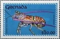 Caribbean Spiny Lobster (Panulirus argus)