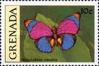 Claudina Agrias (Agrias claudina)