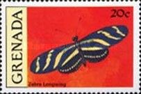 Zebra Longwing Butterfly (Heliconius charithonia)