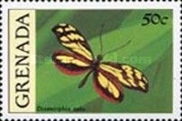 Haitian Mimic (Dismorphia spio)