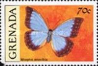 Butterfly (Morpho anaxibia)