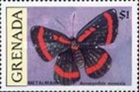 Meneria Metalmark (Amarynthis meneria)