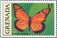 Monarch Butterfly (Danaus plexippus)