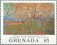 Orchard with blossoming apricot trees