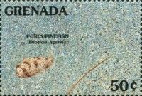 Porcupinefish