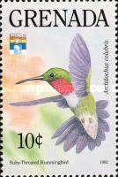 Ruby-throated Hummingbird (Archilochus colubris)