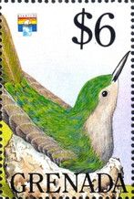 Antillean Crested Hummingbird (Orthorhyncus cristatus)