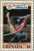 Women's gymnastics