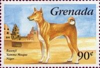 Basenji
