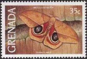 Moth (Automeris metzli)