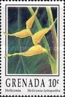 Heliconia (Heliconia latispatha)