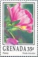 Pansy (Viola tricolor)