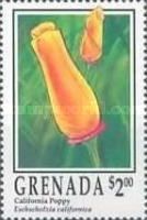 California Poppy (Eschscholzia california)