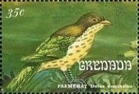Palmchat (Dulus dominicus)