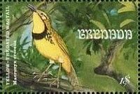Yellow-throated Wagtail (Macronyx croceus)