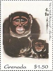 Monkey