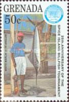 Whit Marlin with angler