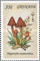 Hygrocybe acutoconica